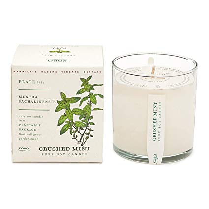 Kobo Plant The Box Candle